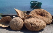 Sponge Fishermen From Kalymnos