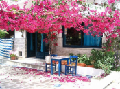 My Week Of Uncertainty