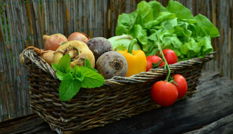 What Fruit, Veggies & Herbs Are In Season Now?