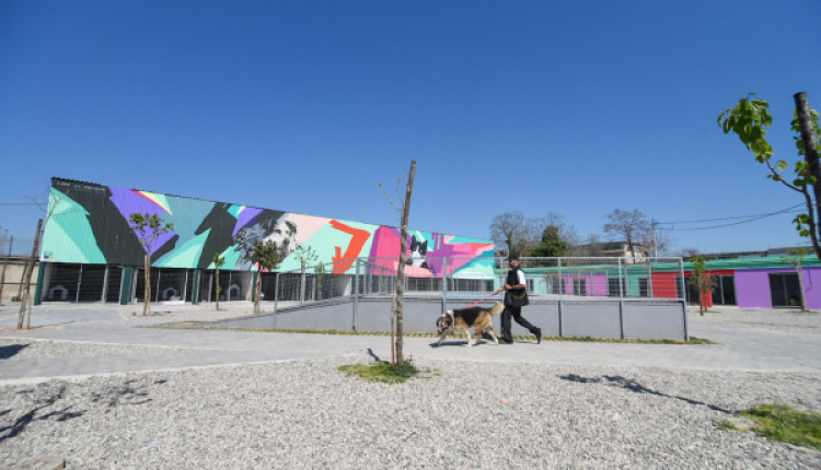 The City Of Athens Launches Its First Modern Stray Animal Shelter