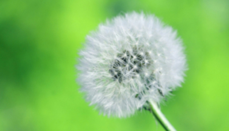 How To Unlock & Take Advantage Of Your Full Potential