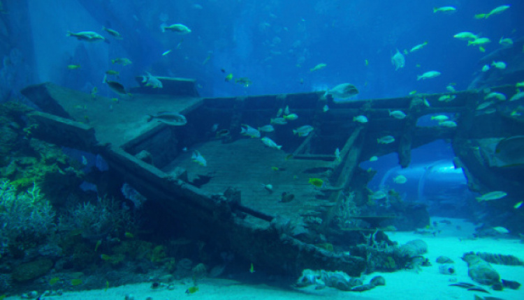 Mystery Shipwreck Discovered Off Kythnos Island