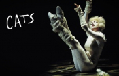 Cats?