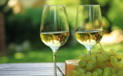 Destination Greece For Greek Wines In Canada