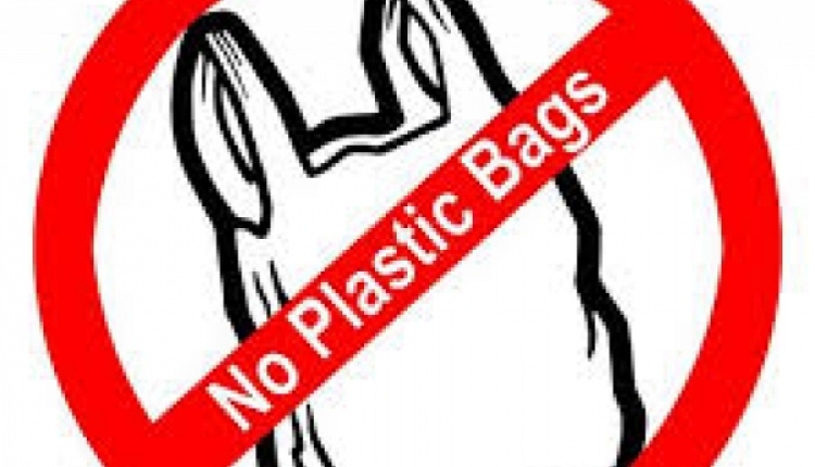 No More Plastic Bags: Alonnisos Gets Pioneering