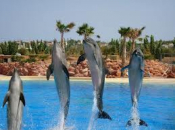 My Week in Athens… Sep 20