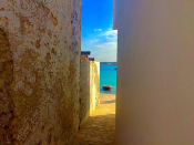 August 29 - Last Days Of Summer