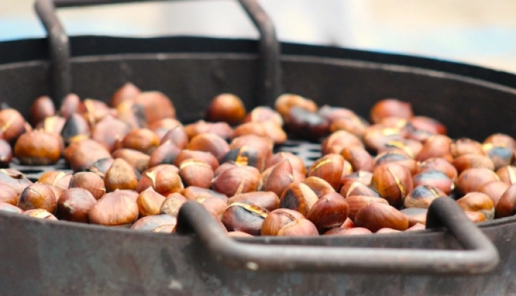 Chestnuts - A Greek Winter Delicacy