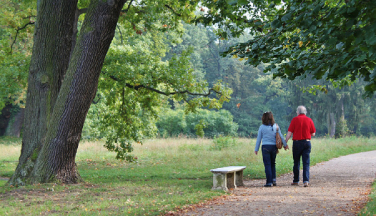 How Nature Reduces Pandemic Related Stress