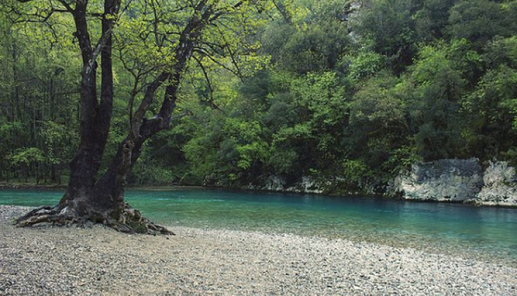 Rivers In Greece That Offer An Incredible Swimming Experience