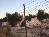 Lynn's Thanksgiving In Lesvos