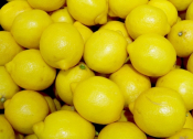 The Importance Of Lemons In Greek Cooking