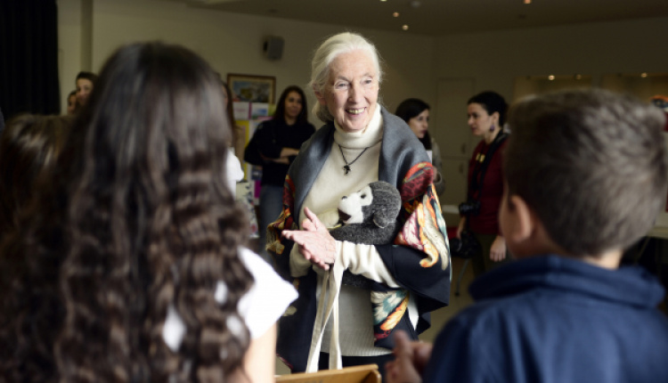 Dr. Jane Goodall At ACS