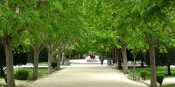 Enjoying Nature Around Athens