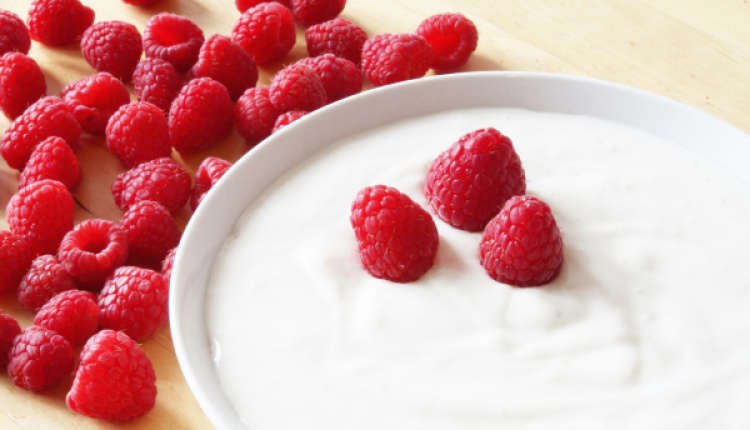 Great Reasons To Add Greek Yogurt To Your Daily Diet