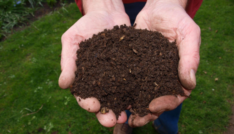 Composting Spots To Be Set Up In Attica
