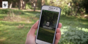 WWF Greece Introduces App Aimed At Mapping Urban Green Areas