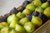 Local Fruit & Vegetables Among The Safest In The EU