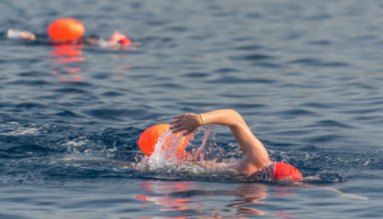 The Authentic Marathon Swim 2,500 Years Later - XpatAthens.com