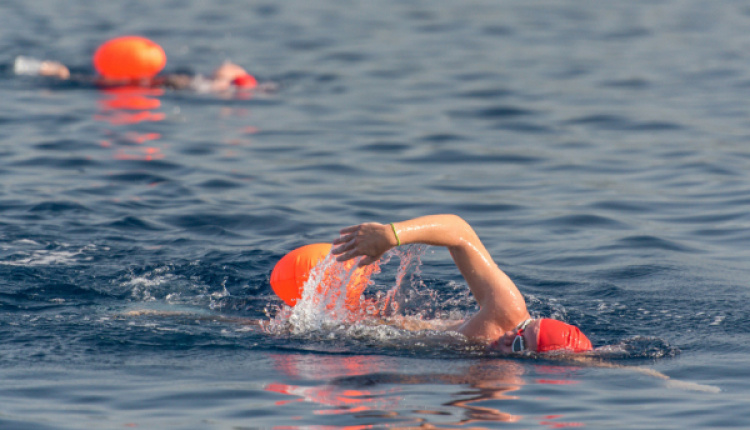 The Authentic Marathon Swim 2,500 Years Later