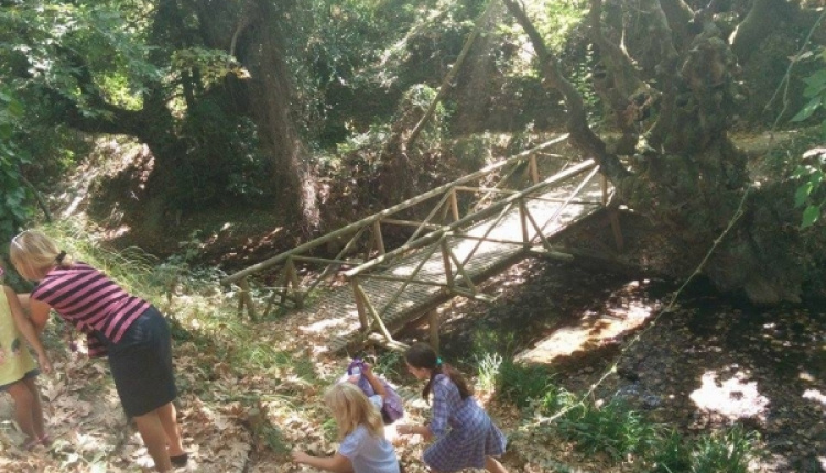 A Small Picnic Paradise In Varnavas