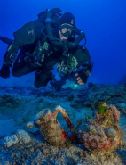 Antikythera Shipwreck Artifacts Shed Light On Ancient Greece&#039;s &#039;1 Percent&#039;