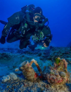 Antikythera Shipwreck Artifacts Shed Light On Ancient Greece's '1 Percent'