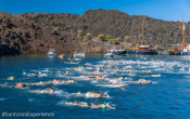 Santorini's Experience Schedule 2018
