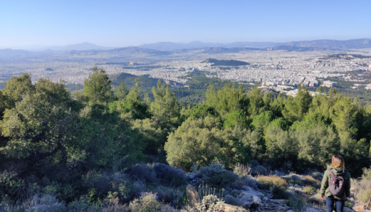 One Day Wellness Escape With Nefeli Nine Retreats