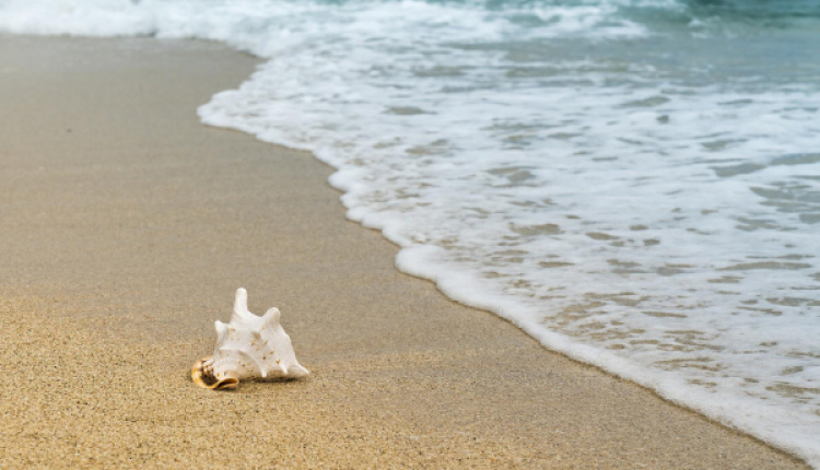 First Smoke-Free Beach In Attica Is Underway