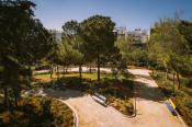 The Klonaridis - Fix Park Regains Its Former Glory