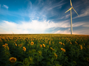 Greece Sees Record Production From Renewable Energy Sources