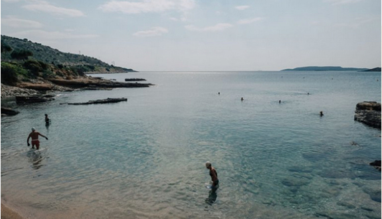 Winter Sea Swimming In Athens