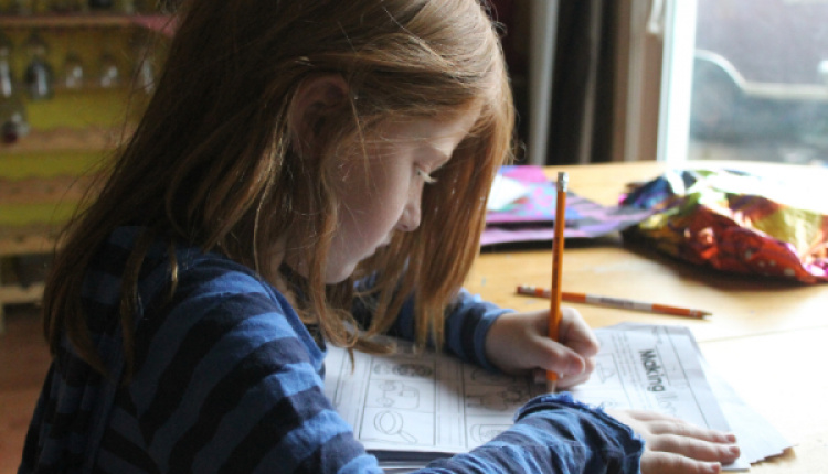 Homeschooling During Lockdown: Adapting To New Conditions
