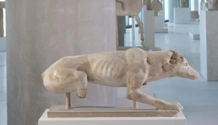 6th Century BC Dog Sculpture Was Found South Of The Parthenon