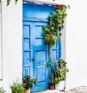 February 28 - Spring Is In The Air