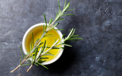 Greek Olive Oils Win Several Awards At Acclaimed International Competition