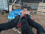 Aphrodite & Loutraki's Landfill Dogs